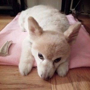 Meet your Posher, Miyoung